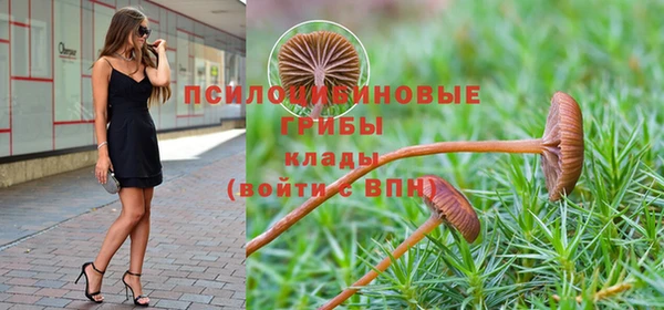 винт Армянск