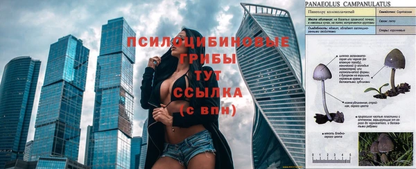 метамфетамин Аркадак