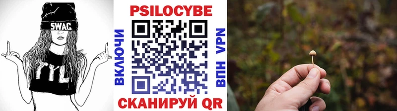 купить закладку  Усть-Катав  Галлюциногенные грибы прущие грибы 